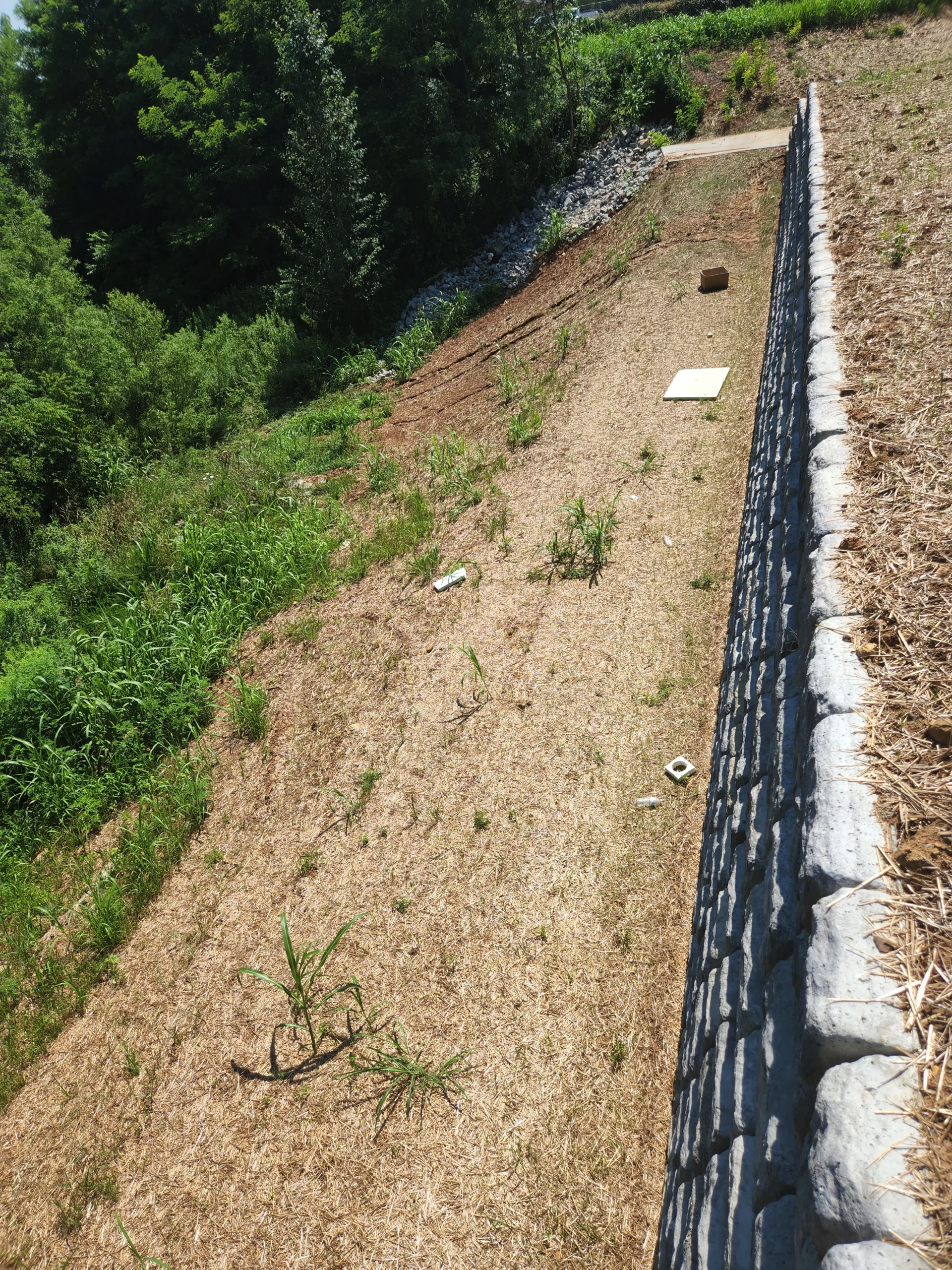 Earth Works project photo 53